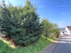 2 - Hillscheid, Baugrundstück in ruhiger Lage