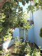 Terrasse - Montabaur, Wohnhaus mit herrlichem Grundstück