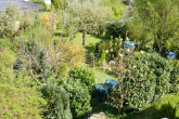 Garten - Montabaur, Wohnhaus mit herrlichem Grundstück